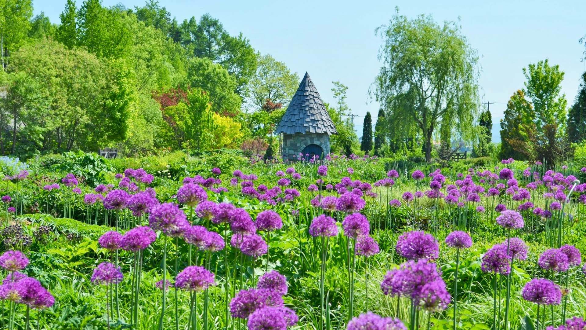 上野花園