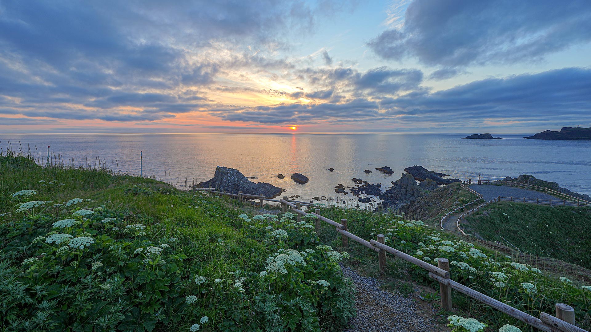 禮文島