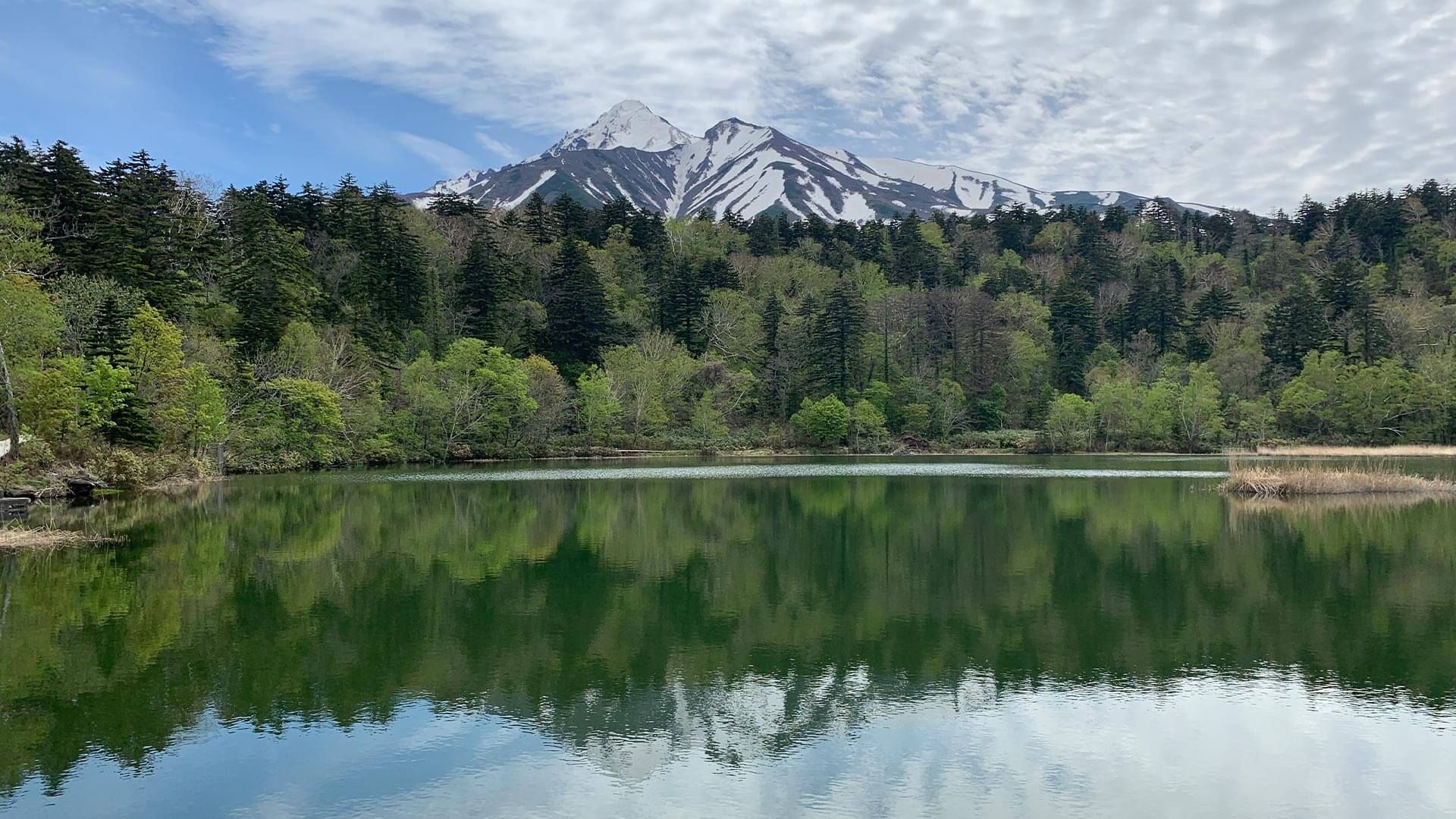 利尻島
