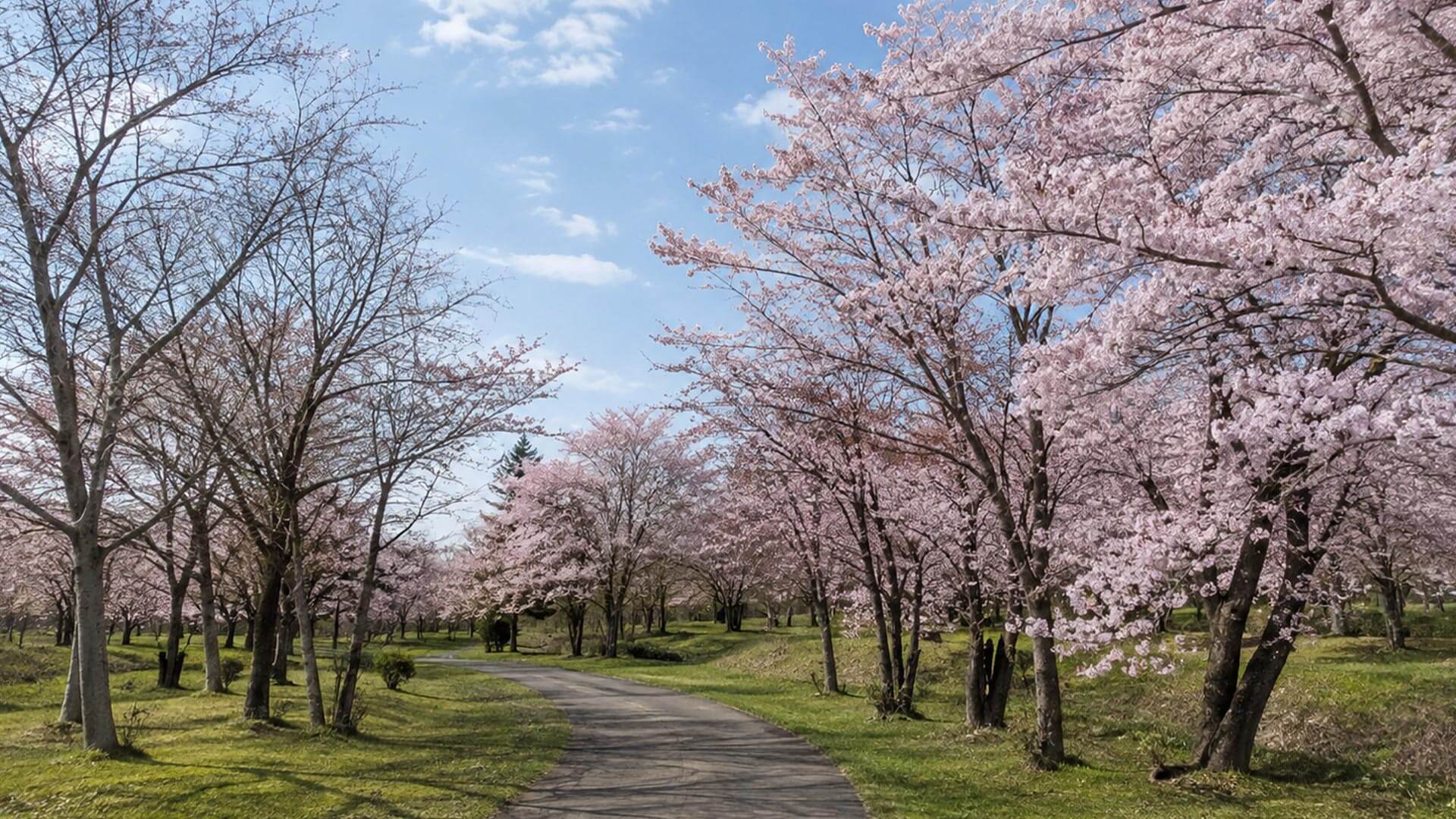名寄彌生公園
