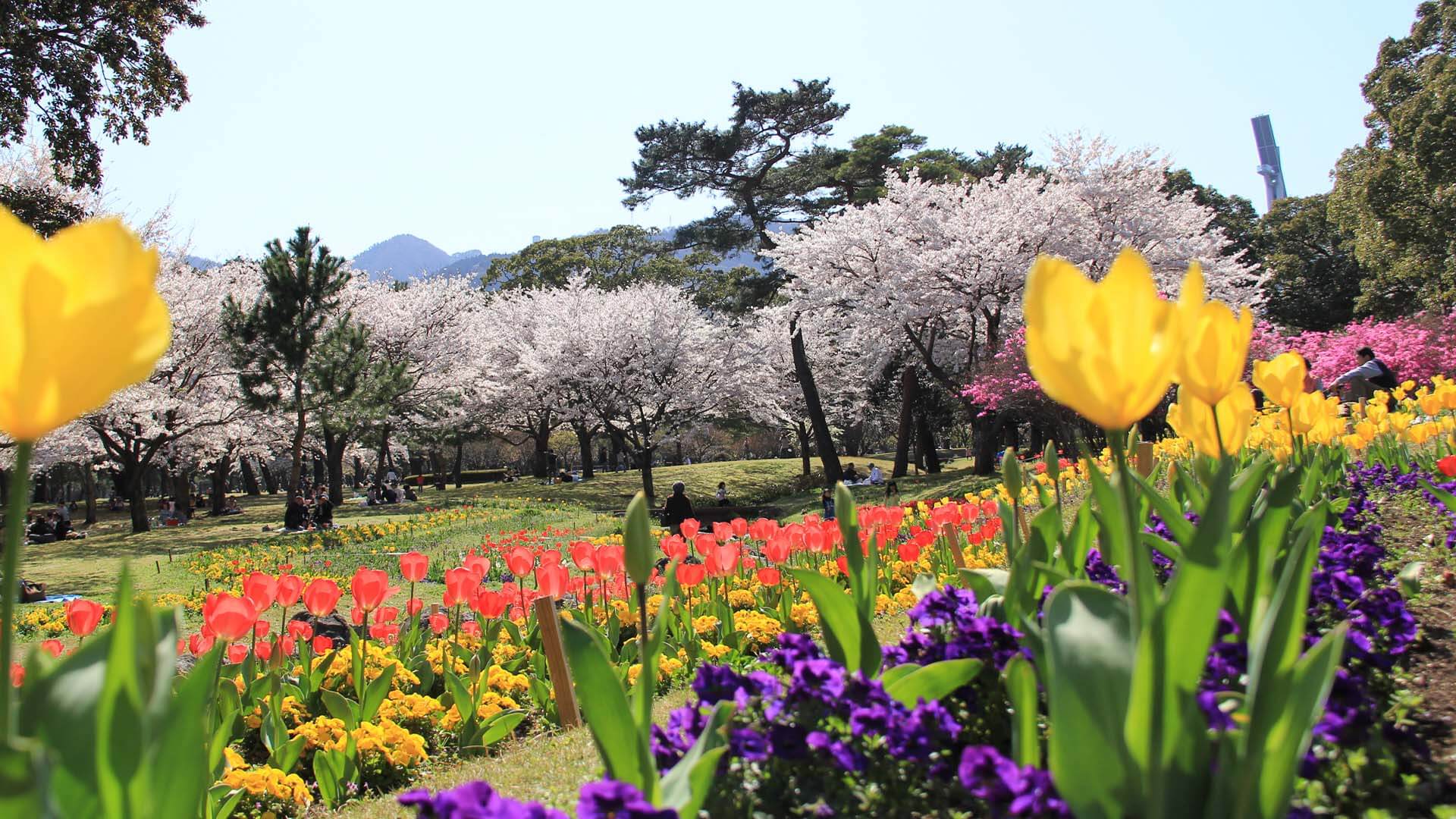 別府公園