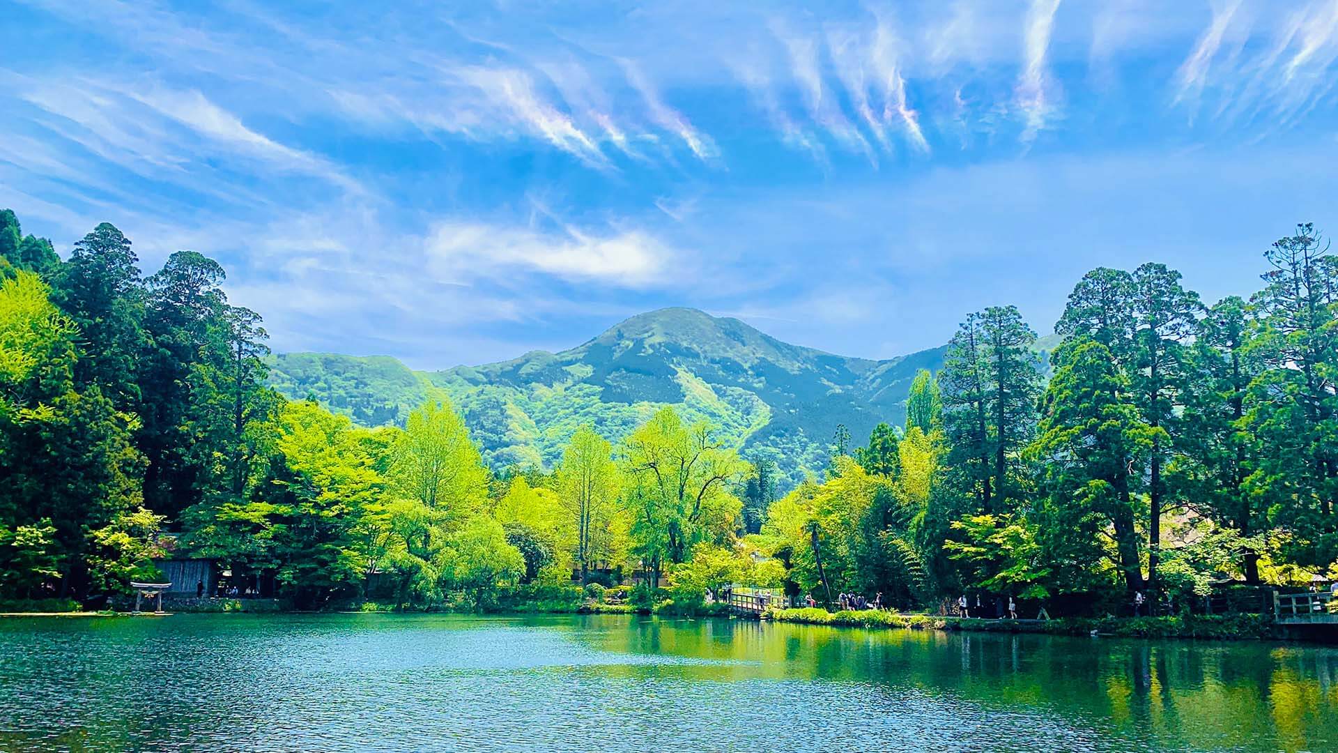 金鱗湖