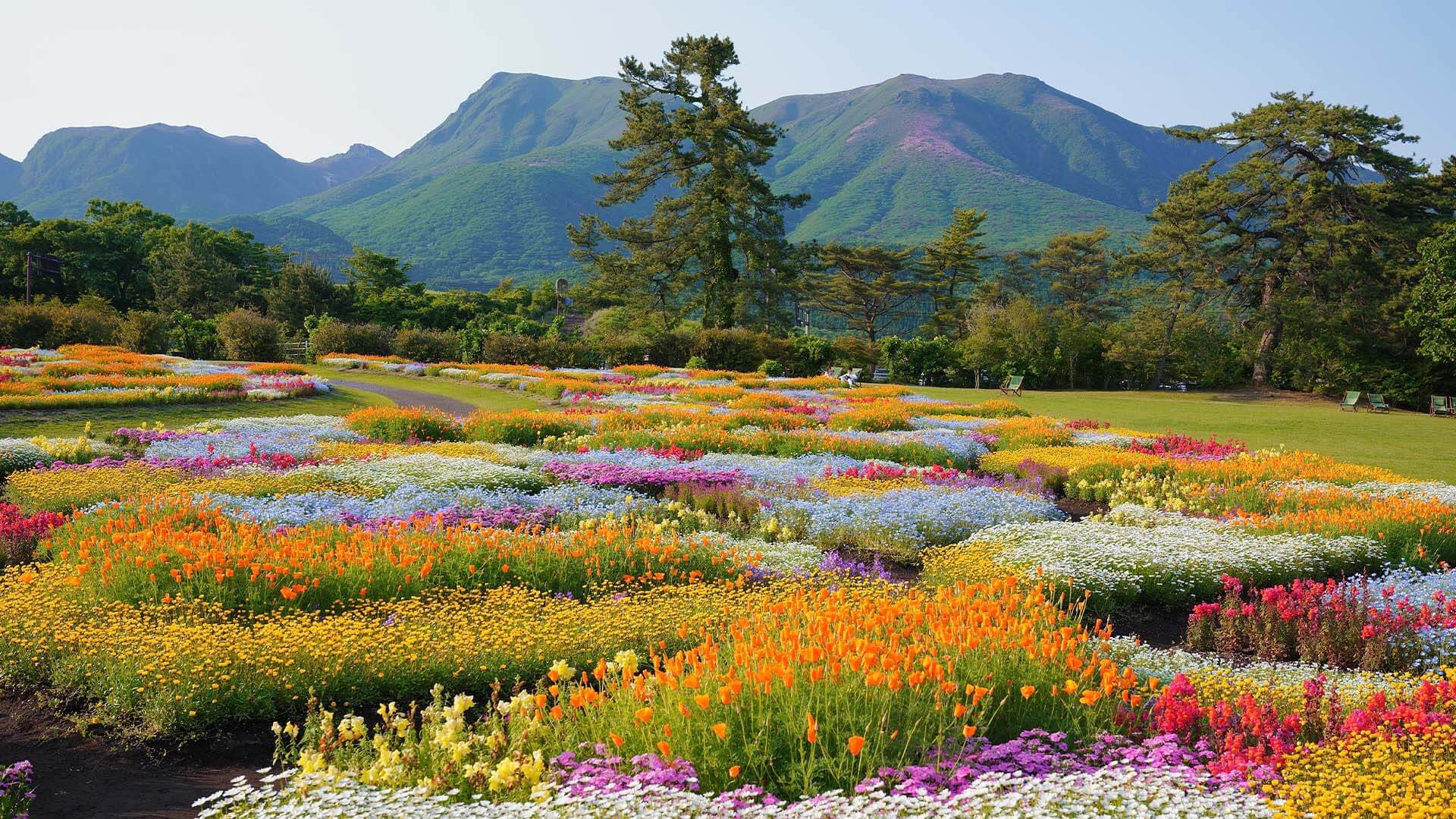 久住花園