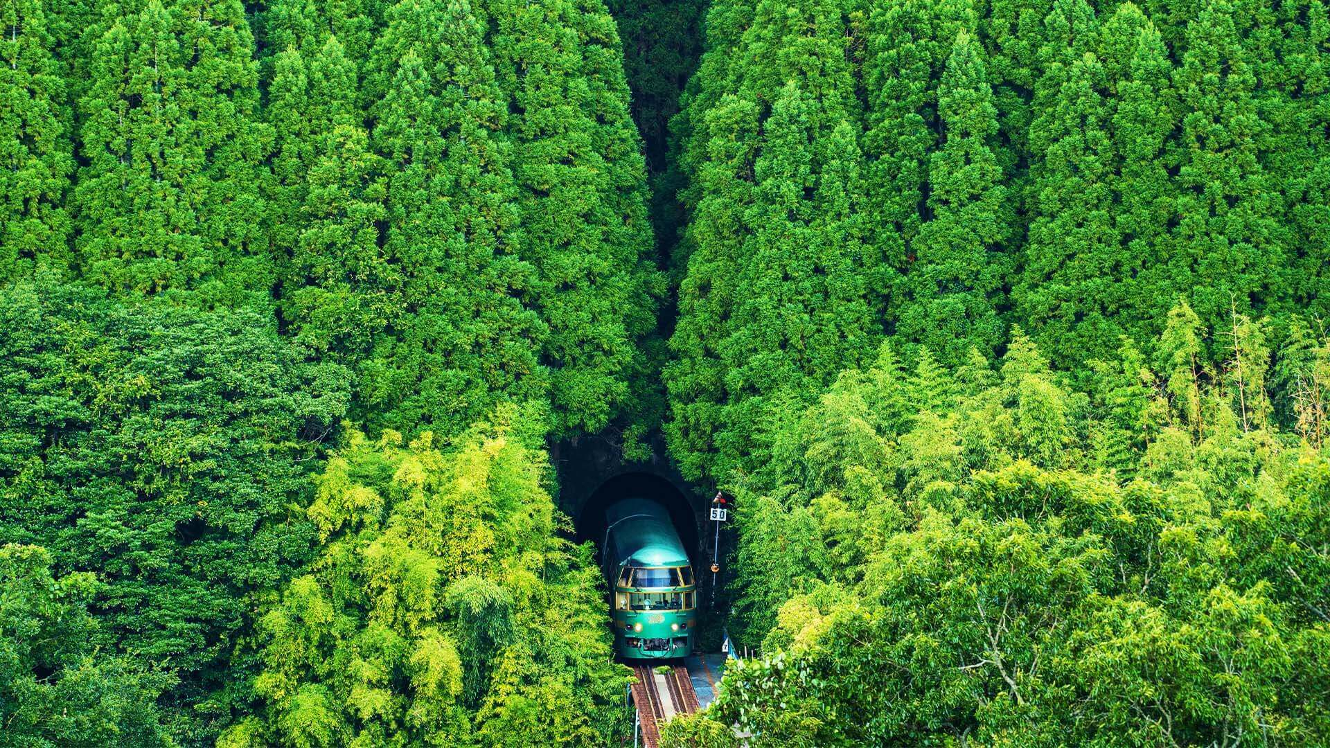 蔥綠蓊鬱｜由布院之森列車