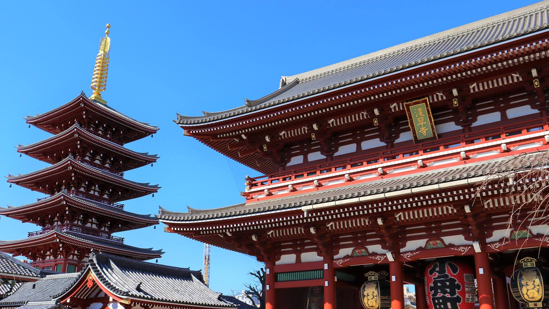 東京半日自由活動