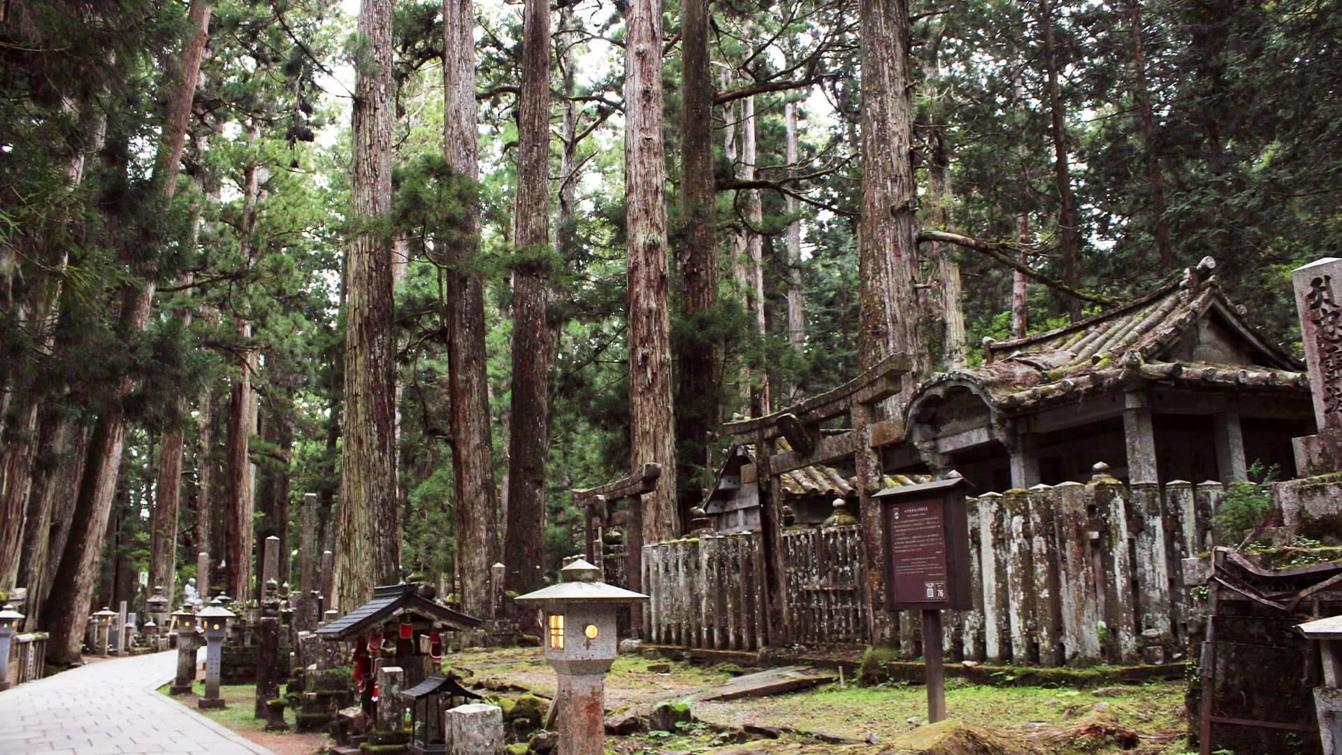 高野山