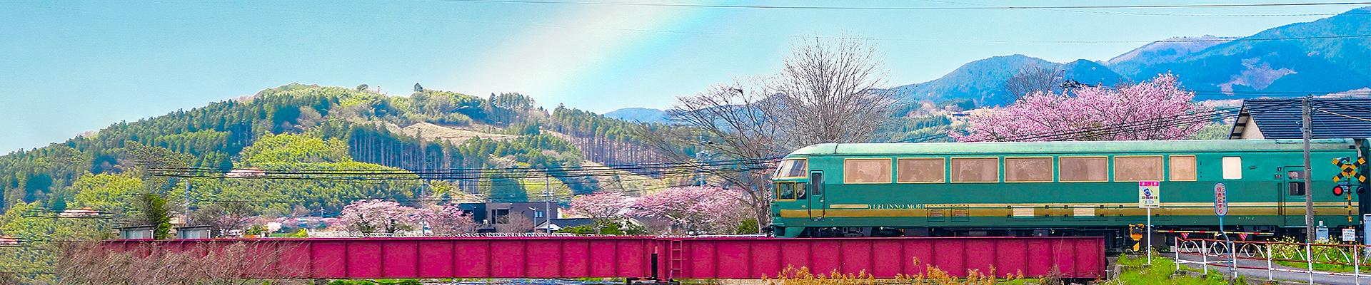九州.經典雙列車櫻賞7日
